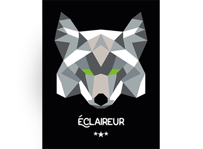 T-shirt origami Coyote